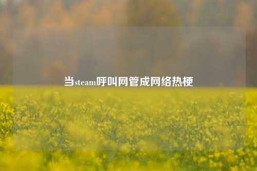 当steam呼叫网管成网络热梗
