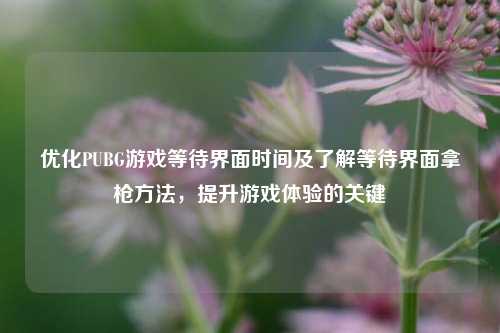 优化PUBG游戏等待界面时间及了解等待界面拿枪方法,提升游戏体验的关键