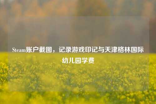 Steam账户截图，记录游戏印记与天津格林国际幼儿园学费