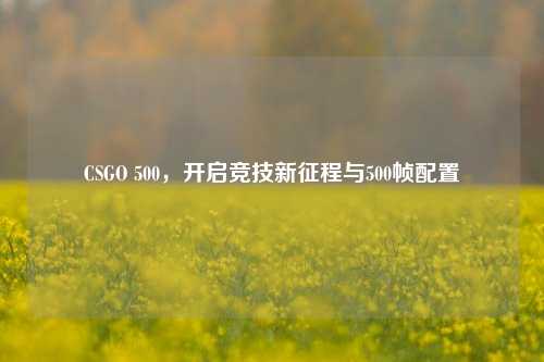 CSGO 500，开启竞技新征程与500帧配置