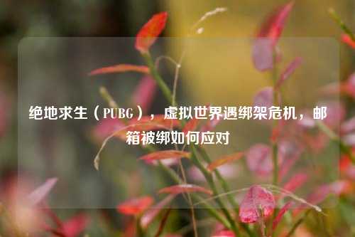 绝地求生(PUBG),虚拟世界遇绑架危机,邮箱被绑如何应对