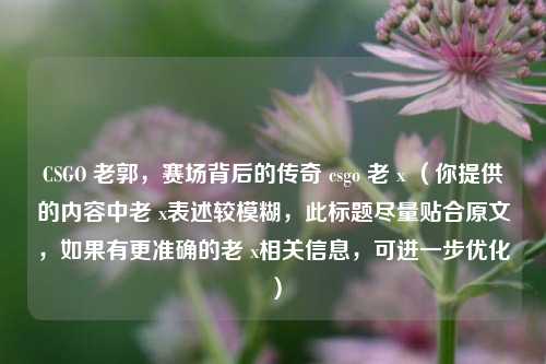 CSGO 老郭,赛场背后的传奇 csgo 老 x (你提供的内容中老 x表述较模糊,此标题尽量贴合原文,如果有更准确的老 x相关信息,可进一步优化)