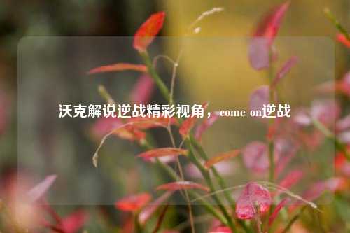 沃克解说逆战精彩视角,come on逆战