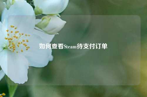 如何查看Steam待支付订单