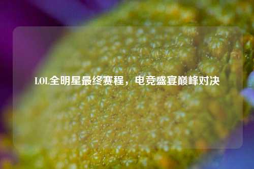LOL全明星最终赛程,电竞盛宴巅峰对决