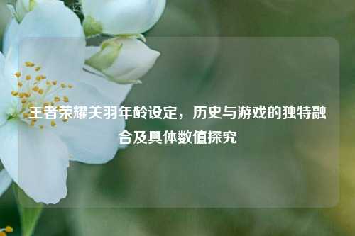 王者荣耀关羽年龄设定,历史与游戏的独特融合及具体数值探究