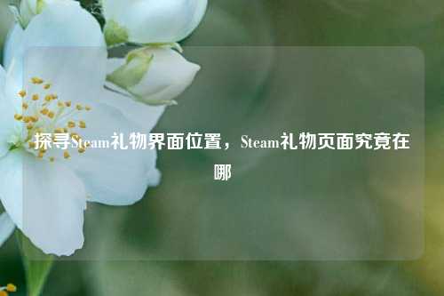 探寻Steam礼物界面位置,Steam礼物页面究竟在哪