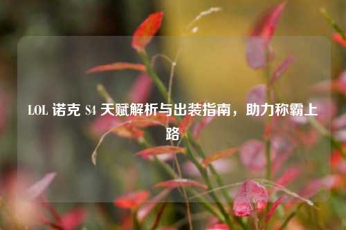 LOL 诺克 S4 天赋解析与出装指南，助力称霸上路