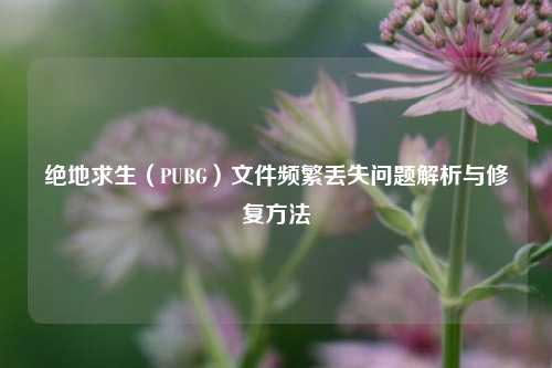 绝地求生(PUBG)文件频繁丢失问题解析与修复方法