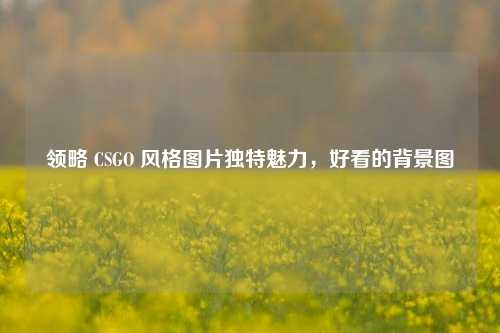 领略 CSGO 风格图片独特魅力,好看的背景图