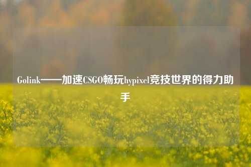 Golink——加速CSGO畅玩hypixel竞技世界的得力助手