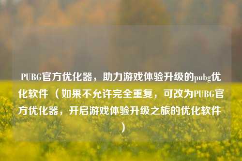 PUBG官方优化器,助力游戏体验升级的pubg优化软件 (如果不允许完全重复,可改为PUBG官方优化器,开启游戏体验升级之旅的优化软件 )