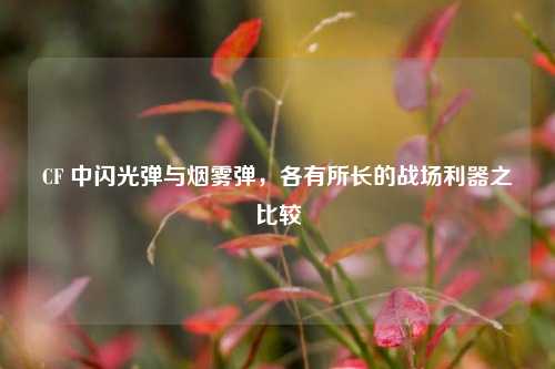 CF 中闪光弹与烟雾弹,各有所长的战场利器之比较