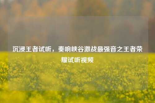 沉浸王者试听，奏响峡谷激战最强音之王者荣耀试听视频
