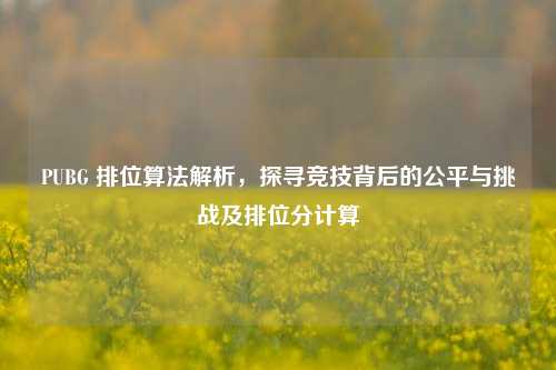 PUBG 排位算法解析，探寻竞技背后的公平与挑战及排位分计算